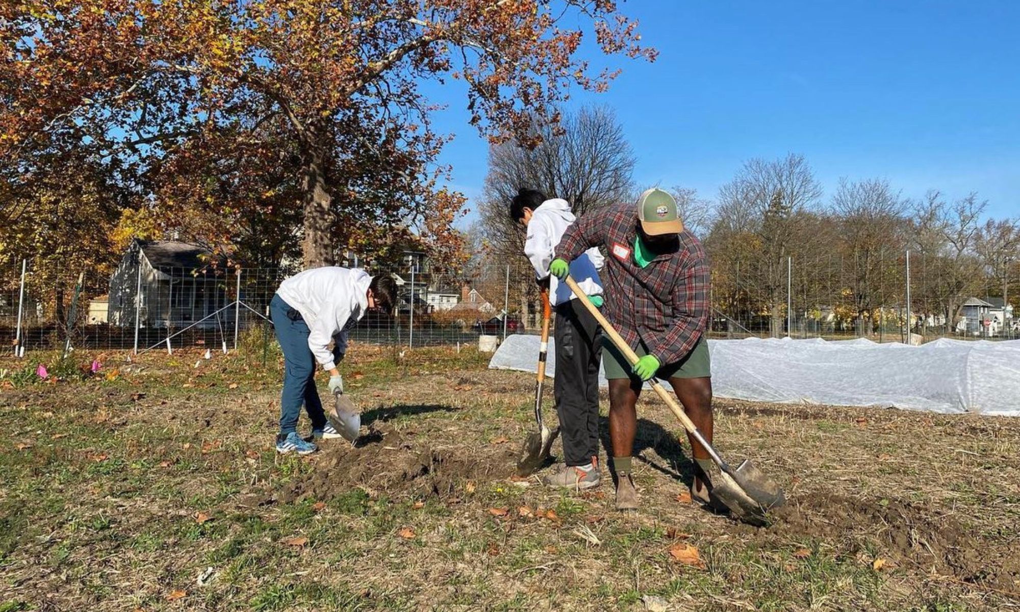 Detroit Partnership for Food, Learning and Innovation