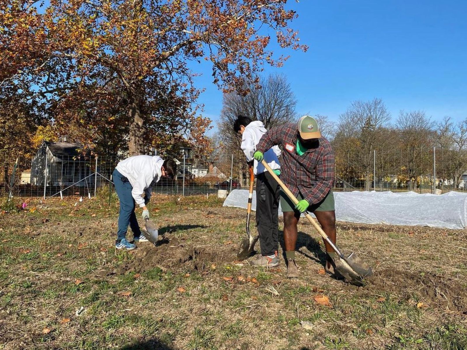 Detroit Partnership for Food, Learning and Innovation